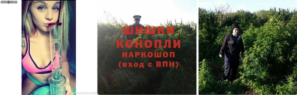 винт Красноперекопск