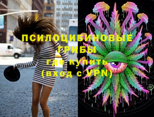 соль ск Краснослободск