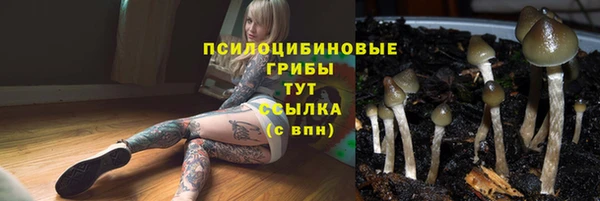 соль ск Краснослободск