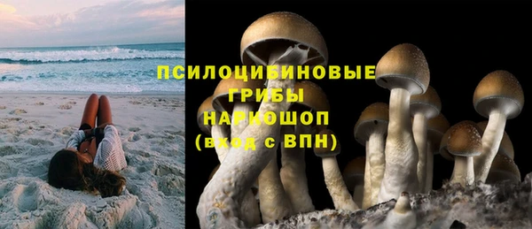 соль ск Краснослободск