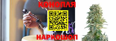 шишки Аргун