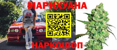 шишки Аргун