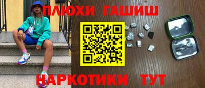 шишки Аргун