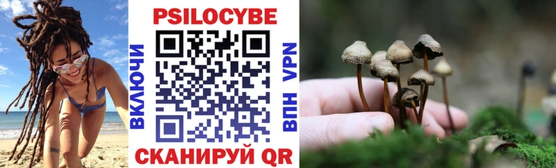 Галлюциногенные грибы MAGIC MUSHROOMS Елец