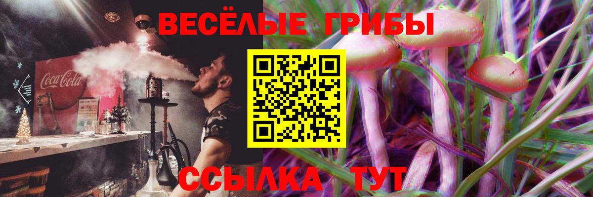 Елец  Галлюциногенные грибы мицелий  Галлюциногенные грибы Psilocybine cubensis  купить наркотики цена  Вход с VPN 
